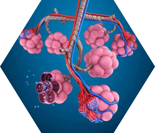 The Challenges of nebulizing biopharmaceutical inhalation 