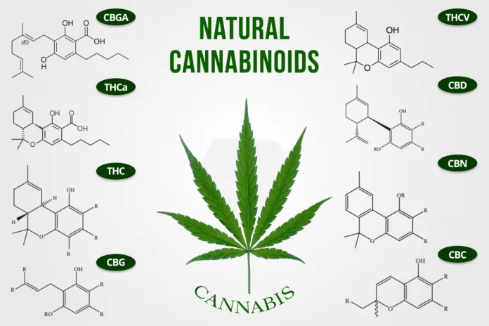 The therapeutic effects of cannabinoids and the way of dosing