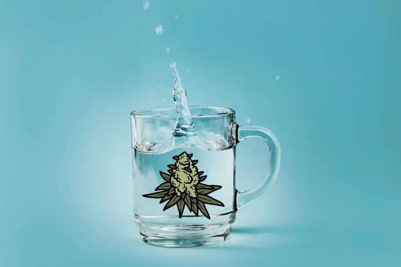 The overview of water-soluble THC