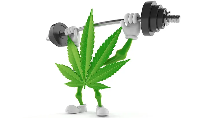 Marijuana and fitness